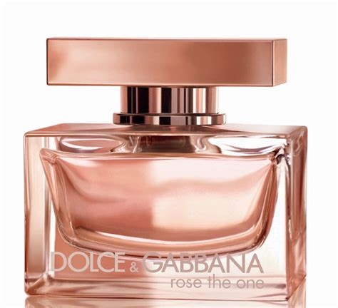 dolce gabbana rose the one notes|the one dolce gabbana d&g.